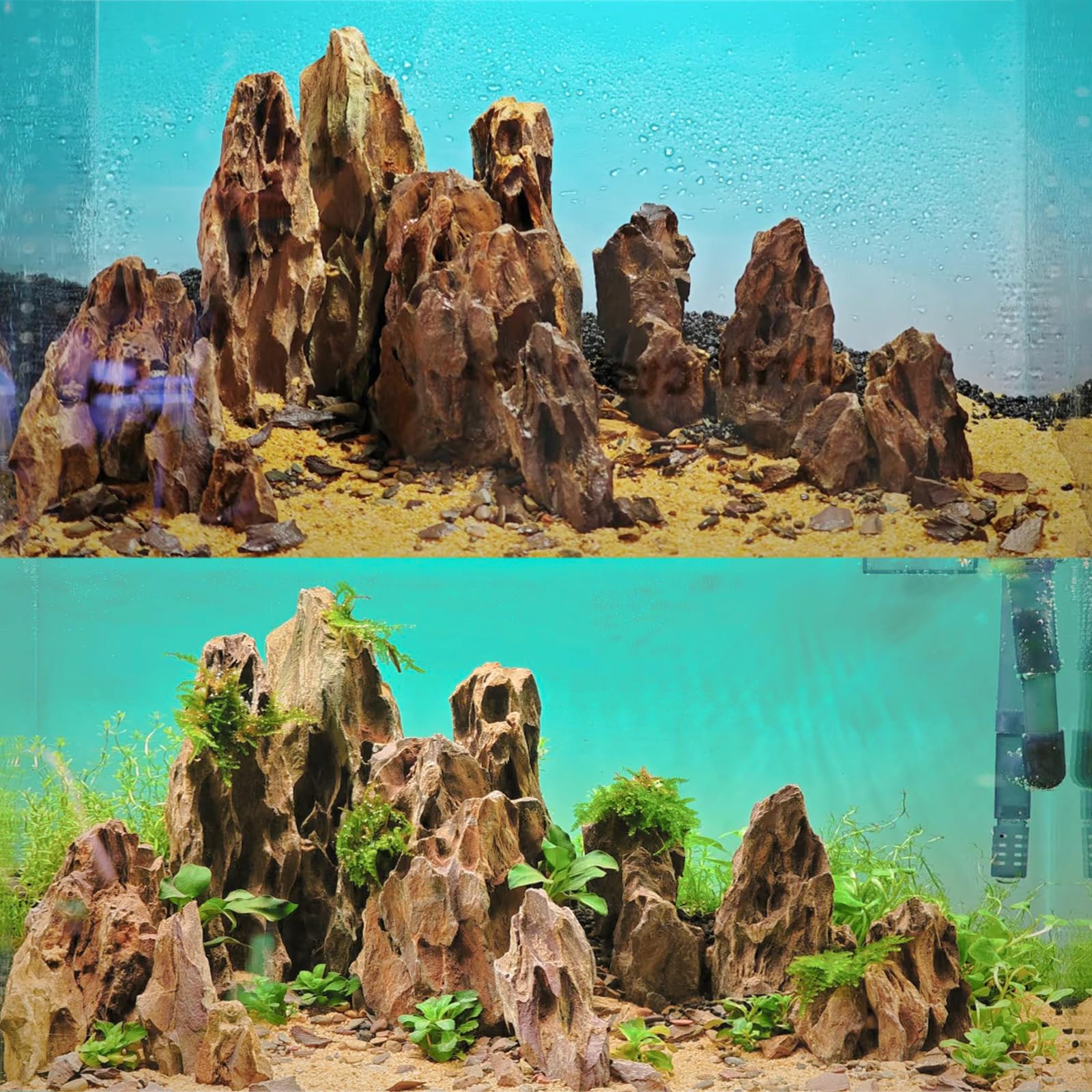 Aquariumsteine 2,3kg Drachenstein für Aquascaping – 5–18 cm Natursteine für Aquarium, Terrarium, Paludarium & Fischbecken-Dekoration