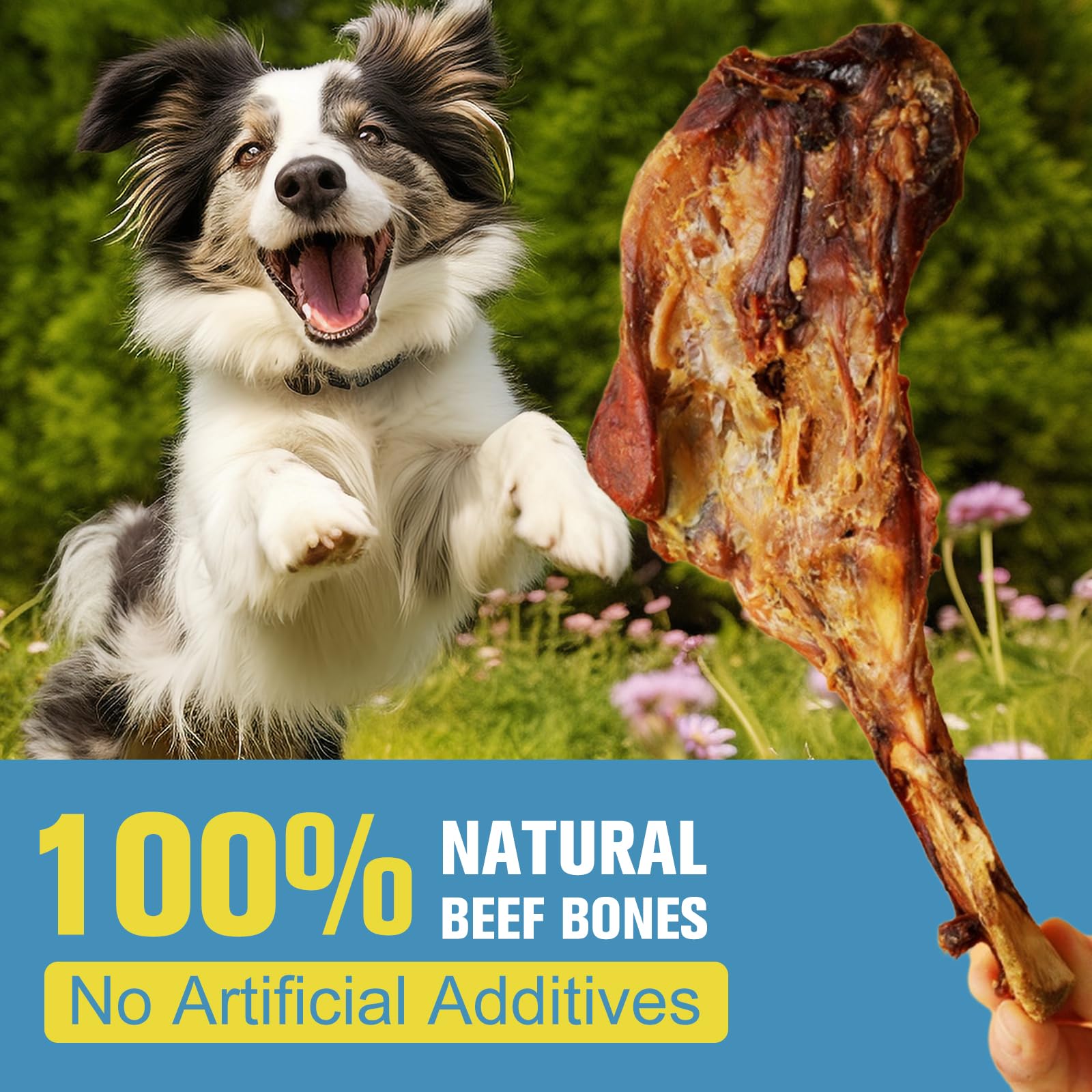 Hueso de Res Natural para Perro, Premio masticable Duradero, ingrediente único, Premio masticable digestible para Salud Dental (Paquete de 3)