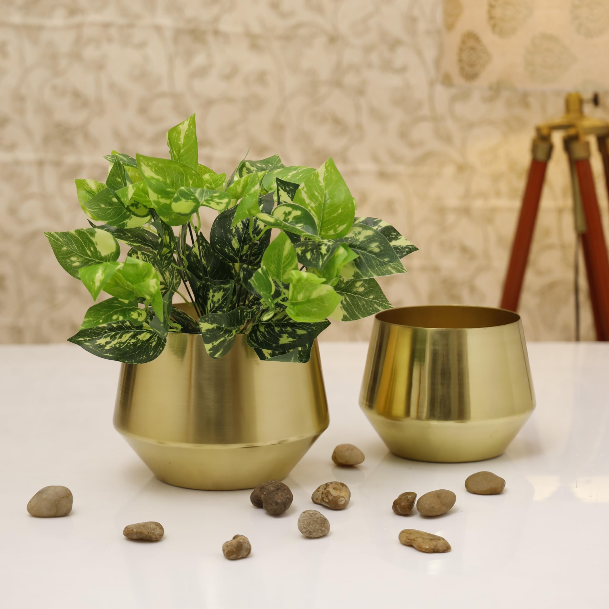 See full amazon price history chart for HomeShastra Oak Gold Planter | Pack of 1 | Height 6 inches Dia 6.5 Inches | Gold Metal Planter for Living Room HomeShastra Oak Gold Planter | Pack of 1 | Height 6 inches Dia 6.5 Inches | Gold Metal Planter for Living Room (B0CK5RNK3S) Amazon Price History, Amazon Price Tracker
