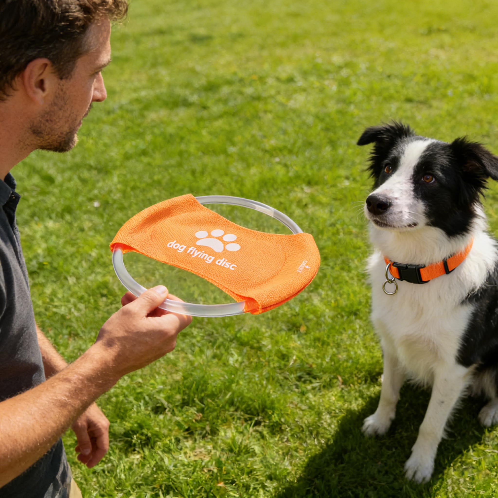 Ensemble collier lumineux pour chien et frisbee – 3 modes de couleur réglable + frisbee phosphorescent, jouet de dressage réutilisable pour chiens de petite, moyenne et grande taille