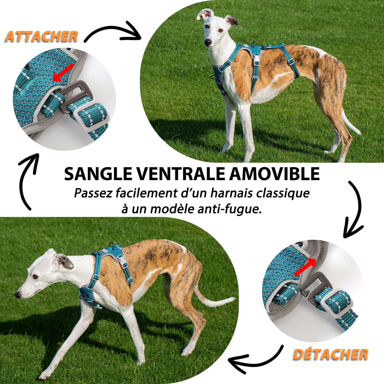 Huntboo Harnais Anti-Fugue pour Chien, Harnais Réfléchissant Anti-Traction pour Petits, Moyens et Grands Chiens, Durable, Réglable et Respirant pour l’Entraînement et la Promenade (Bleu,S)
