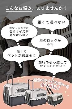 AP LAB ペットキャリー IATA基準品 クレート (ハンドル付き L) Amazon | AP LAB ペットキャリー IATA基準品 クレート 小型犬