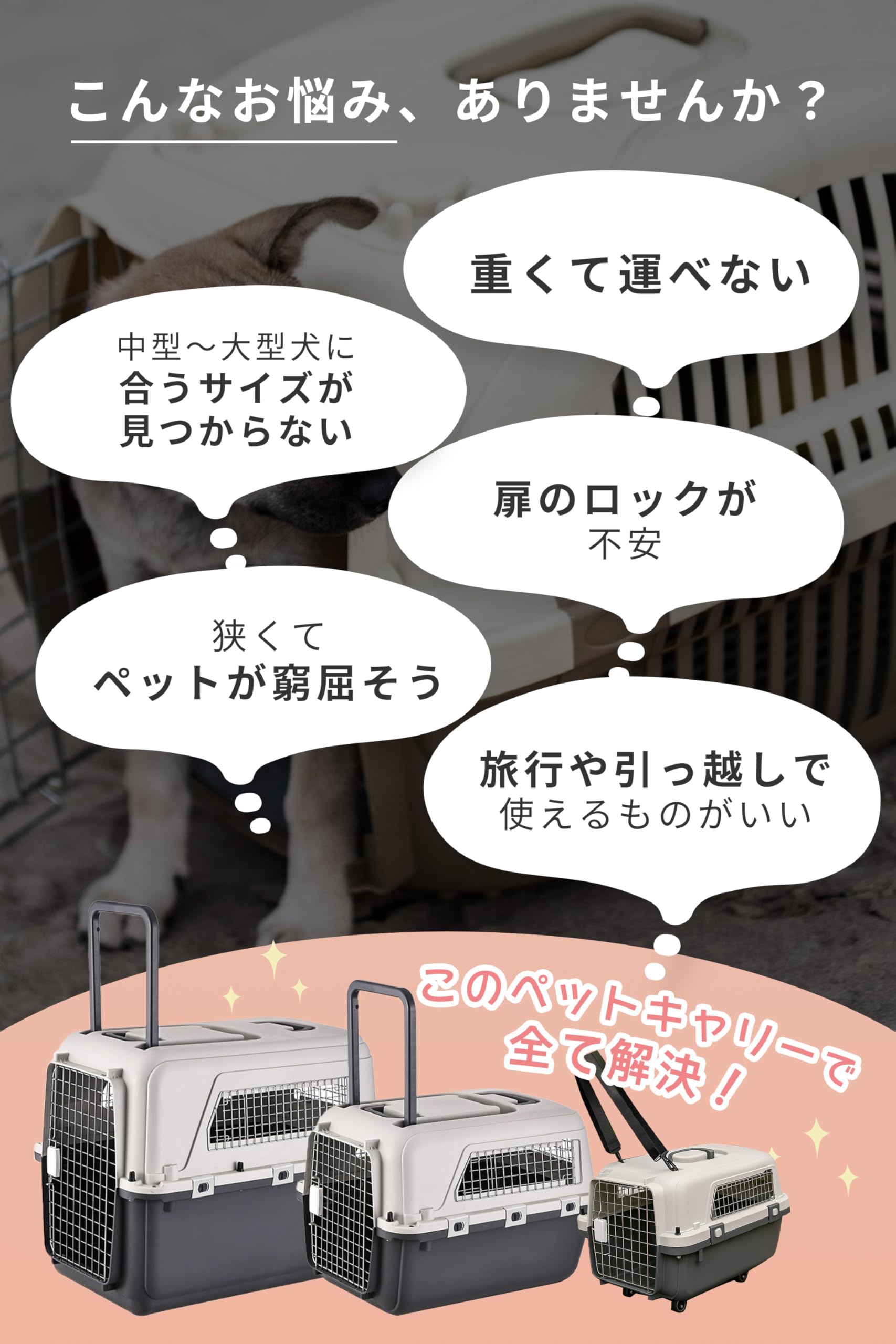 AP LAB ペットキャリー IATA基準品 クレート Amazon | AP LAB ペットキャリー IATA基準品 クレート 小型犬