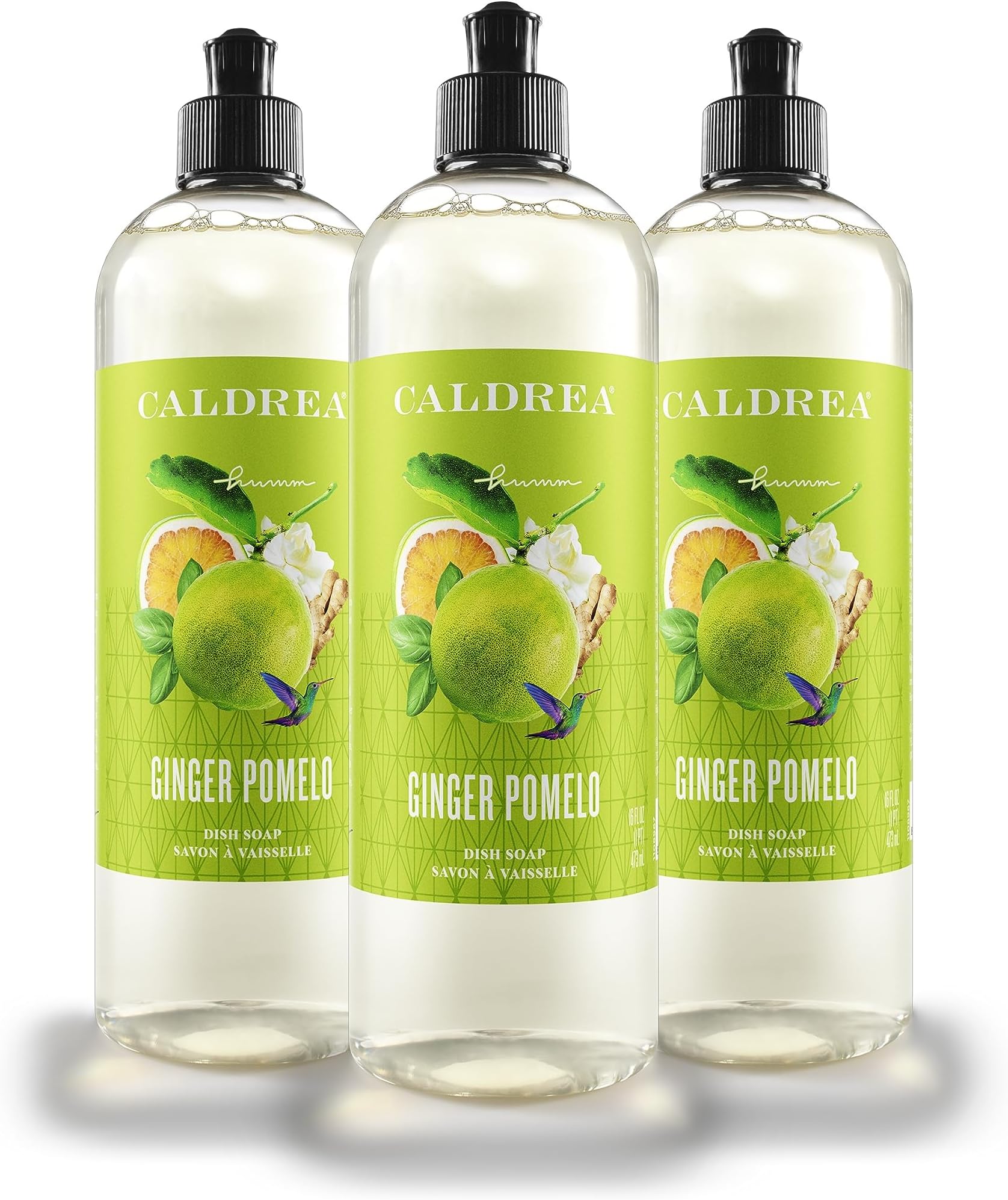 Dish Soap, Biodegradable Dishwashing Liquid made with Soap Bark and Aloe Vera, Ginger Pomelo, 16 oz, 3 Pack