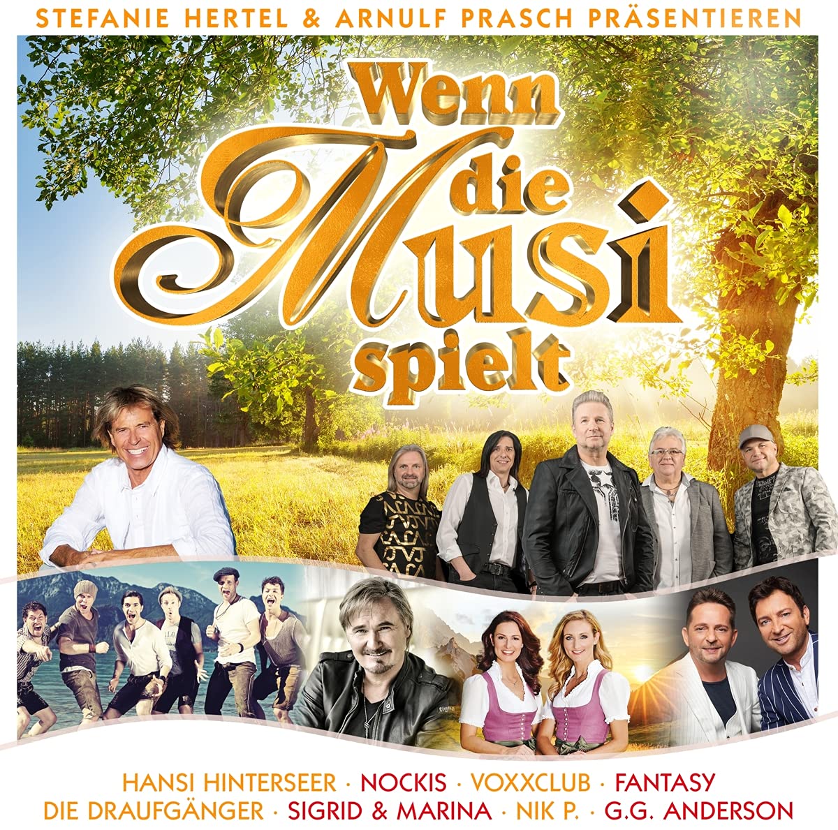 Wenn die Musi Spielt