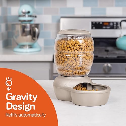 Miniatura 3 de Petmate Comedero automático para gatos y perros Replendish 4, el color puede variar, 2 libras