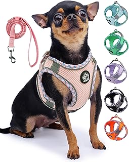 Frienperro Breathable Dog Harness with Leash Set for Small Dog, Dog Harness for Medium Dogs No Pull, Adjustable Reflective...