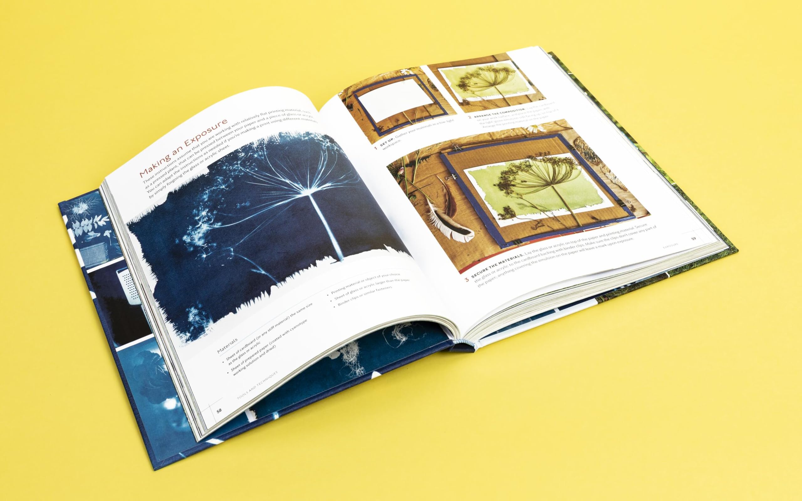 Printing with the Sun: Capturing the Beauty of Nature with Cyanotypes
