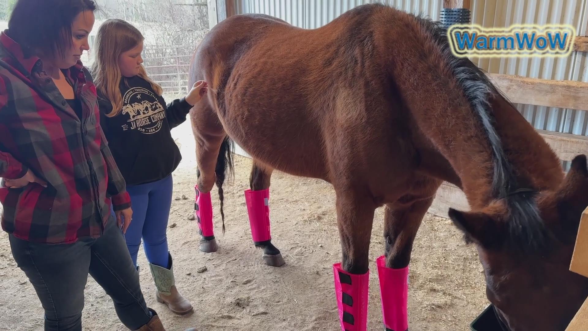 Set Of 20 Mesh Fly Boots For Horses – Breathable Leg Wraps To Protect From Flies & Mosquitoes (Blue, Orange, Pink, Green)