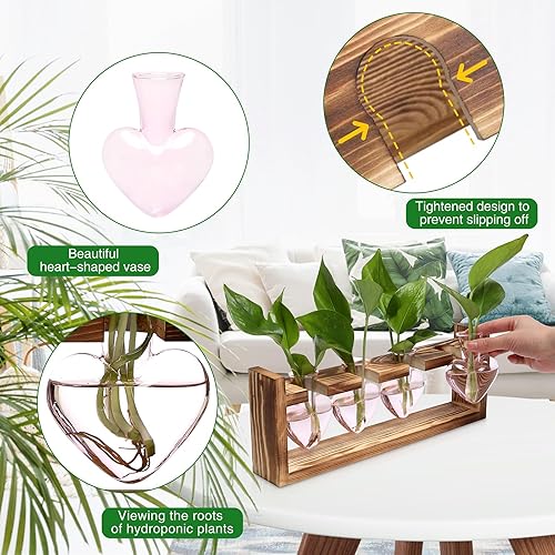 Miniatura 2 de Kit de terrario de plantas de corazón, regalo para mujeres, amantes de las plantas, jarrones de cristal