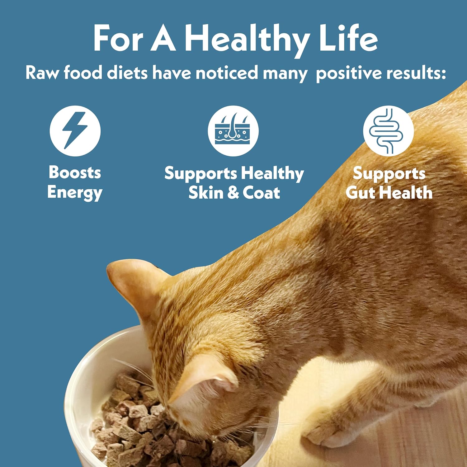 Fresh Is Best Beef Freeze Dried Cat Food – Raw Cat Food for Kittens & Adult Felines – High-Protein Freeze Dried Beef in Resealable Zipper Bag – Made in the USA – 8 oz
