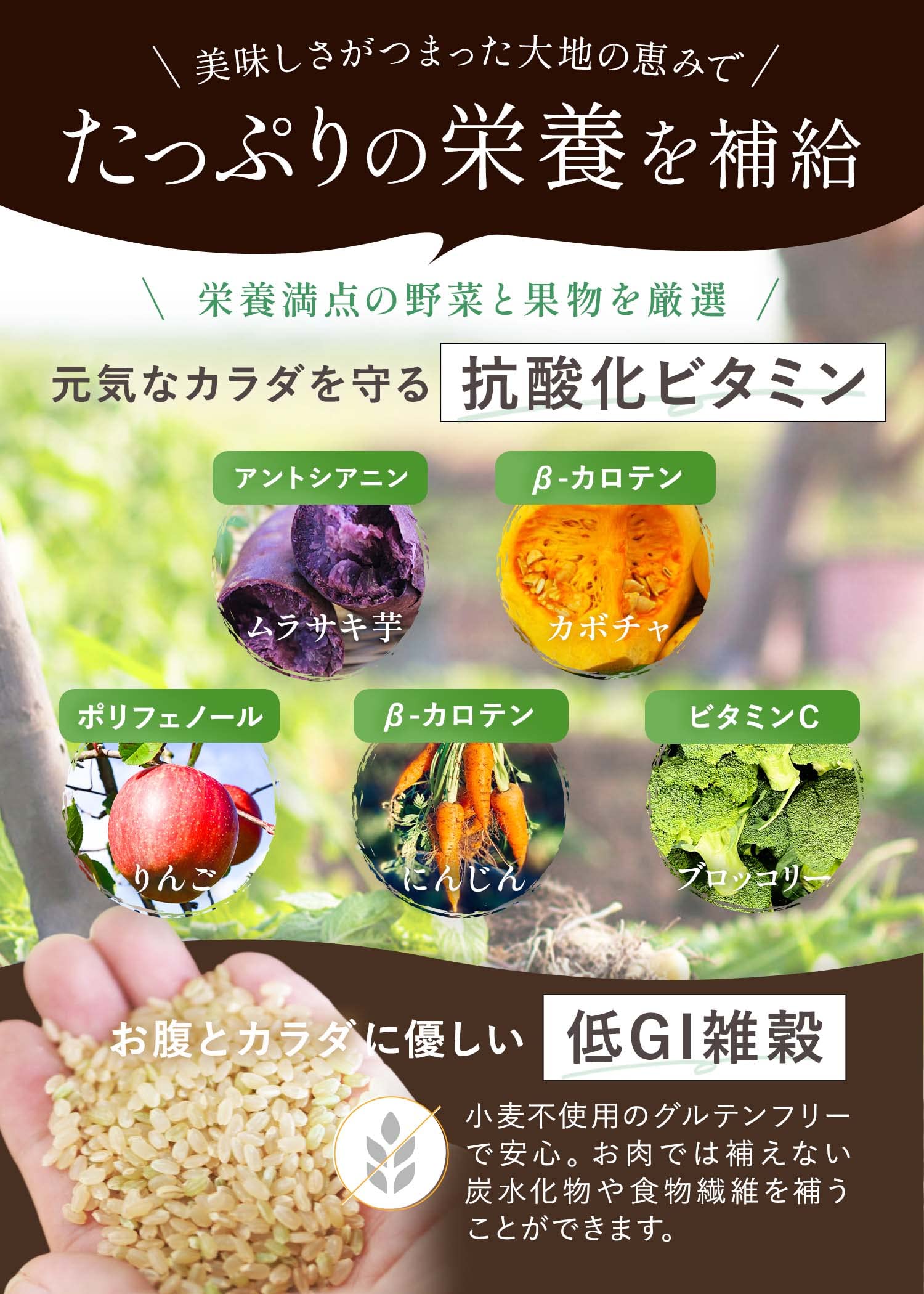 Amazon.co.jp: グレボ GLEBO 国産 ドッグフード シニア犬 [ 獣医師推奨