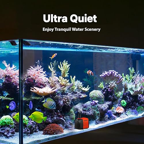 Miniatura 3 de DOKO Bomba de agua sumergible de 480 GPH, bombas de estanque con cable de alimentación de 6 pies y 3 boquillas, 35 W, bomba de agua ultra silenciosa