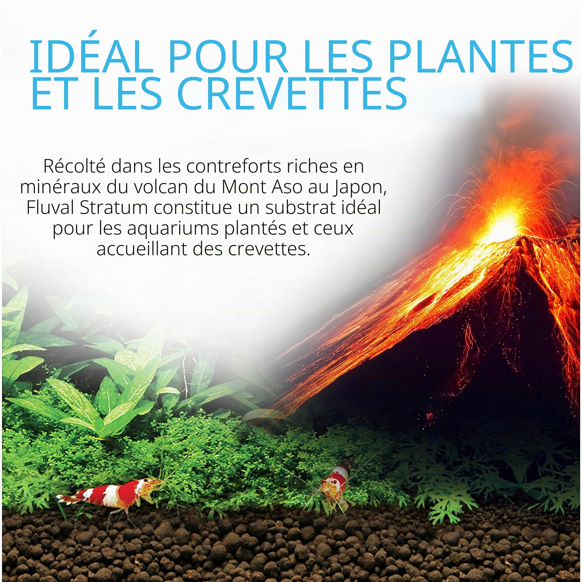 Fluval Substrat pour aquarium Plant & Shrimp Stratum, 4 kg