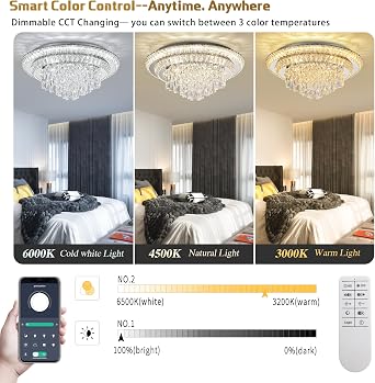 24 Crystal Ceiling Light Flush Mount With Remote and APP Control Silver | 3CCT Dimmable & Brightness Adjustable, Modern Crystal Raindrop Chandeliers for Bedroom Hallway Dinning Room Living Room
