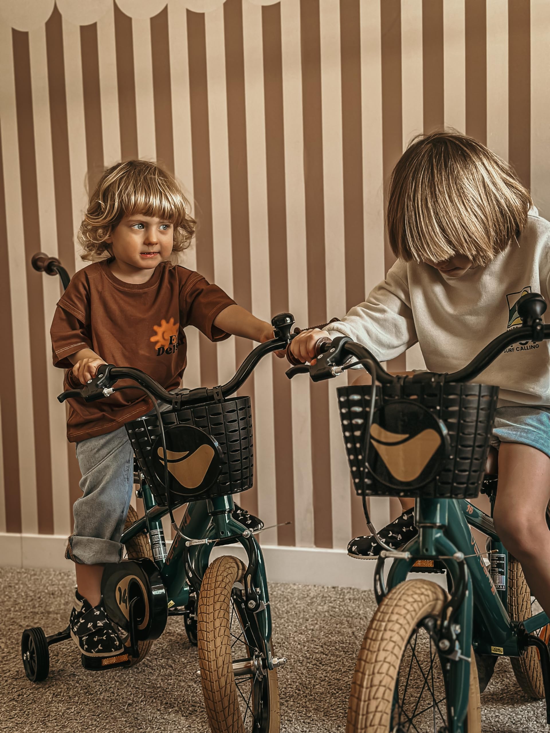 sun baby Verdant Bike Bicicleta Infantil de niño con Ruedas de Entrenamiento 12/14/16 Pulgadas, de niño 2-6 años, Manillar Ajustable y Timbre, V-Break y Freno de Torpedo