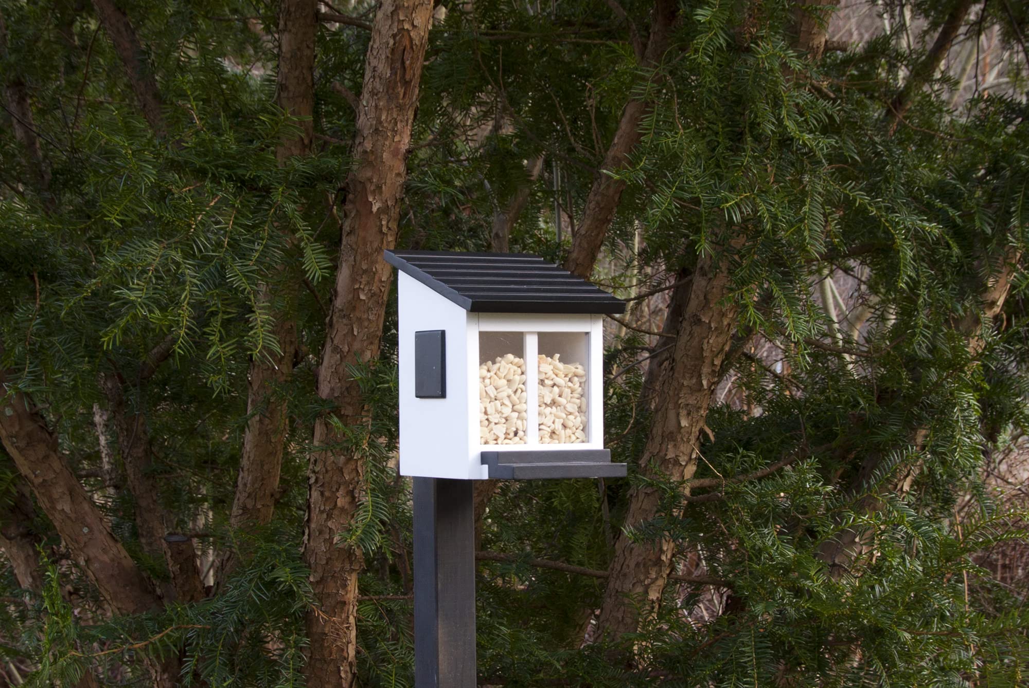 Wildlife Garden WG314 Eichhörnchen Futterbox Weiss - Futterhaus aus Holz