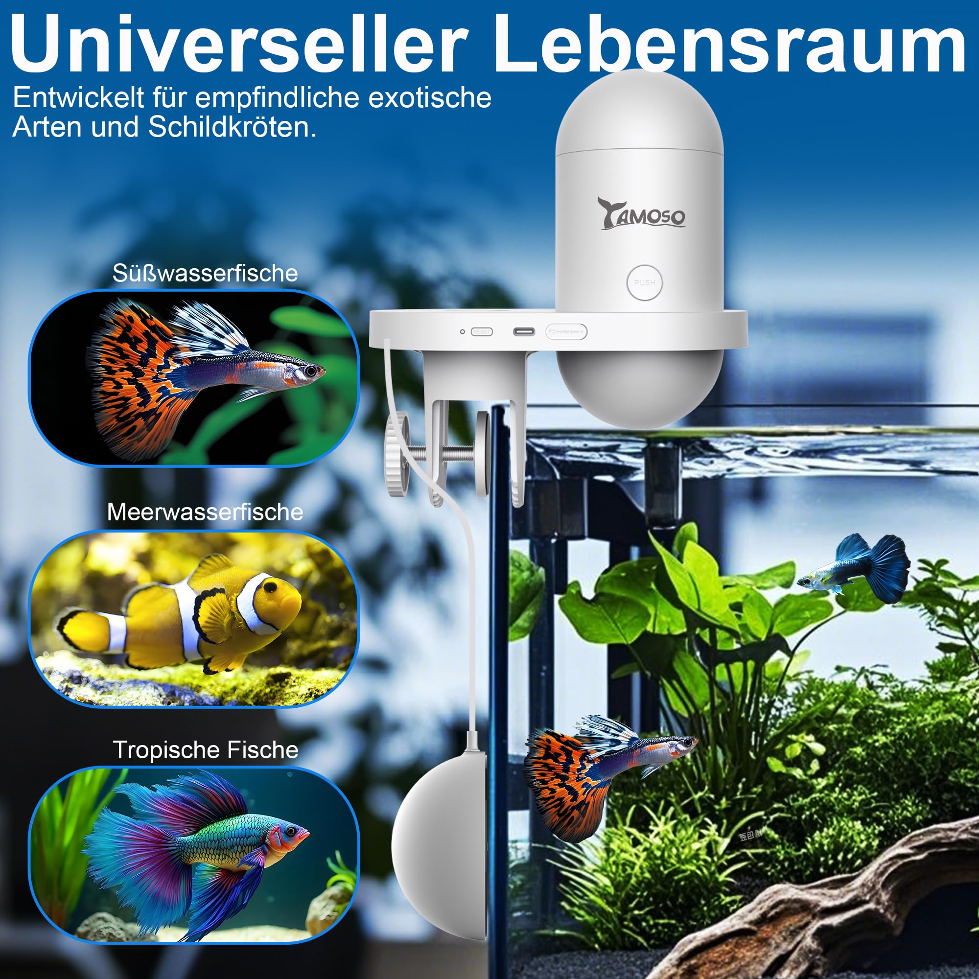 WiFi Futterautomat Aquarium mit Kamera, 2.4/5G WLAN Smart App, 0,2g Visuelle Präzision Fischfutter Automat, 230ML Fisch Futterspender für die Tägliche/Urlaub, Meerwasser und Süßwasseraquarien
