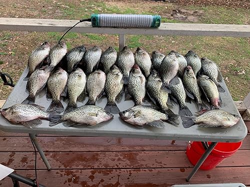 Vista 21 de Green Blob Outdoors Luces de pesca subacuáticas, fabricadas en Estados Unidos, muelles y barcos, atractor de peces más brillante para snook, bajo