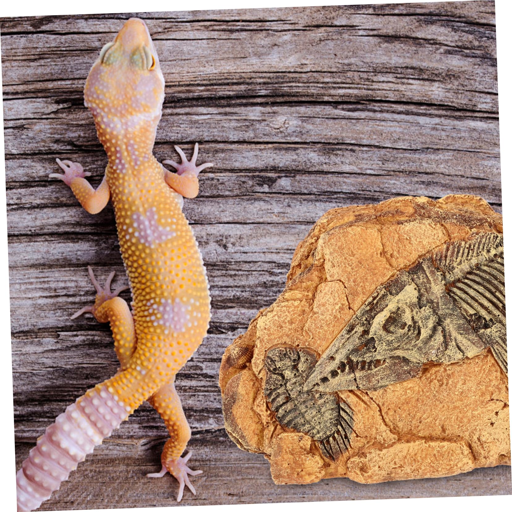 Reptilien Versteckhöhle für Terrarien aus Kunstharz, Kleine Höhle | Stain Resistant, Safe For Reptiles, Form Höhle, Passend für Reptilien im Terrarium