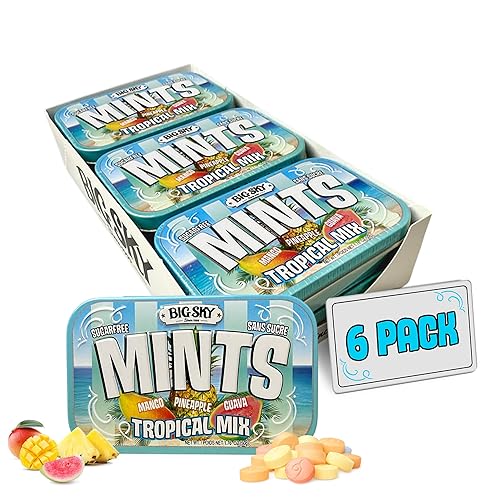 Miniatura 19 de Caramelos de menta sin azúcar BIG SKY - Menta al chocolate - Lata de 50 unidades (paquete de 6) Caramelos veganos certificados kosher Sin