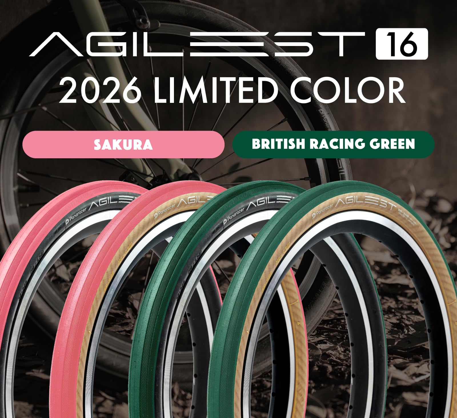 Amazon | パナレーサー(Panaracer) アジリスト 16×1.35 (35-349 