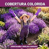 Vista 3 de 20000+pcs Semillas de tomillo rastrero para plantar – Flores de cobertura de suelo sin transgénicos – 10g Semillas de hierbas comestibles