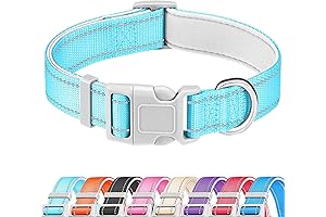 Reflective Dog Collar: Secure and Stylish for Paw-sitively Happy Adventures