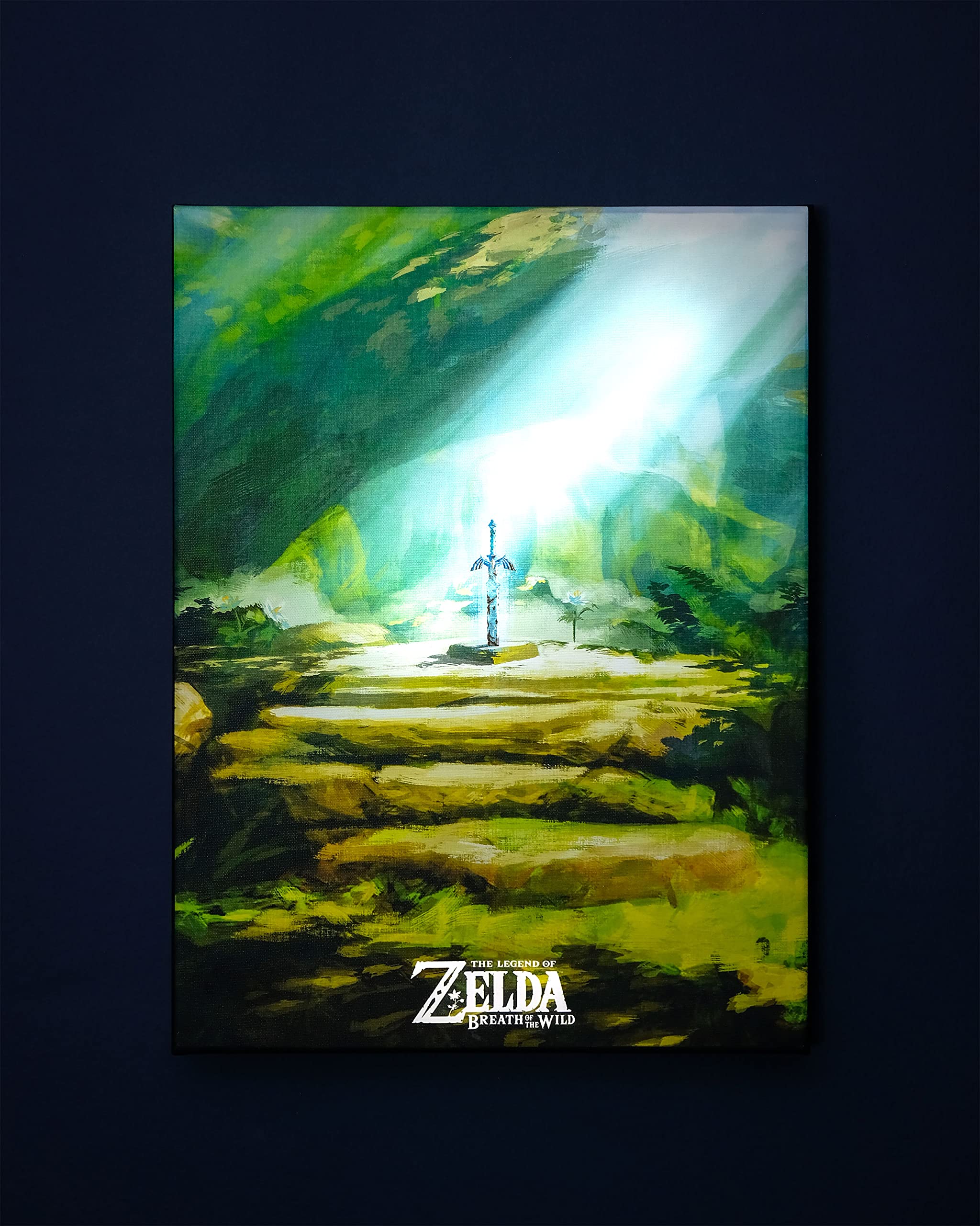 Elbenwald Zelda Espada Maestra Mural de pared con luz Funciona con pilas 30 x 40 x 3,8 cm