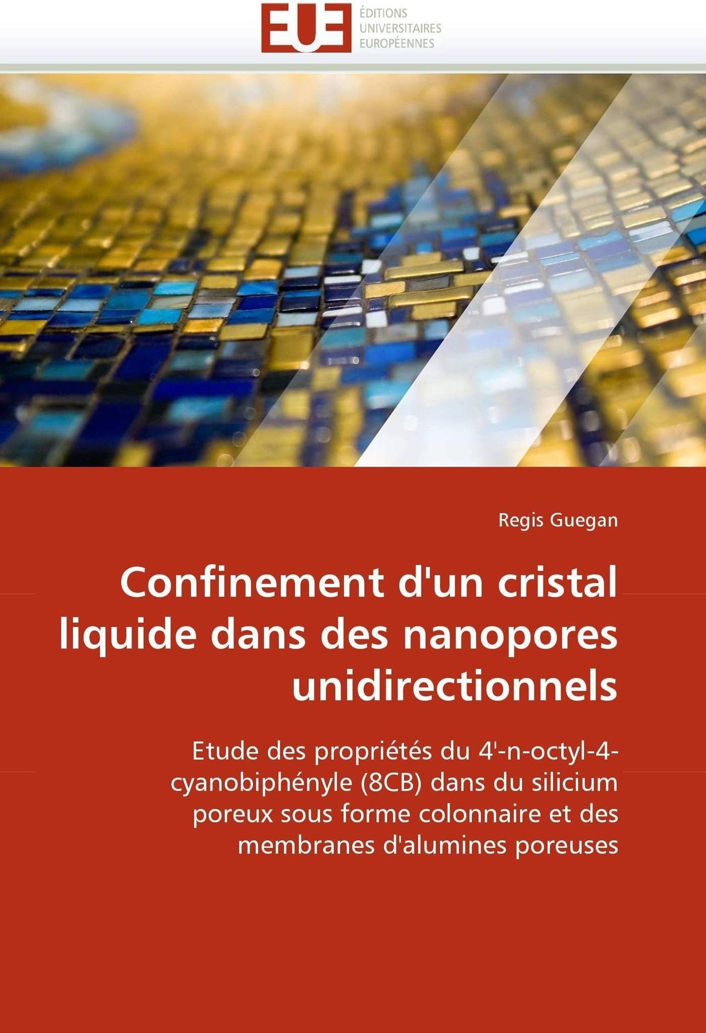 Confinement d'un cristal liquide dans des nanopores unidirectionnels (Omn.Univ.Europ.) (French Edition)