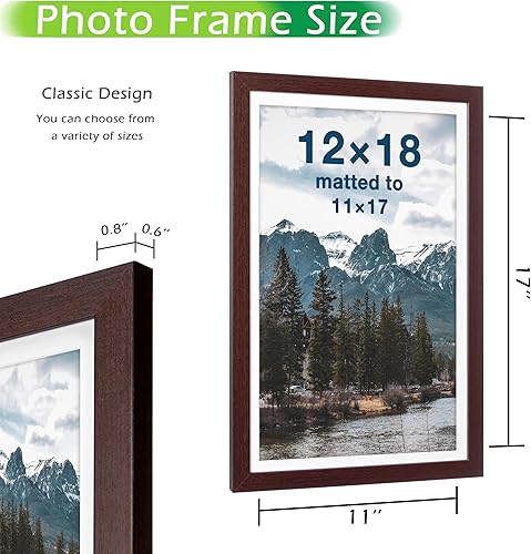 Vista 110 de FrameWorks Marco de fotos clásico de madera de 12 x 12 a 8 x 8 pulgadas, vidrio templado/blanco/paquete de 6