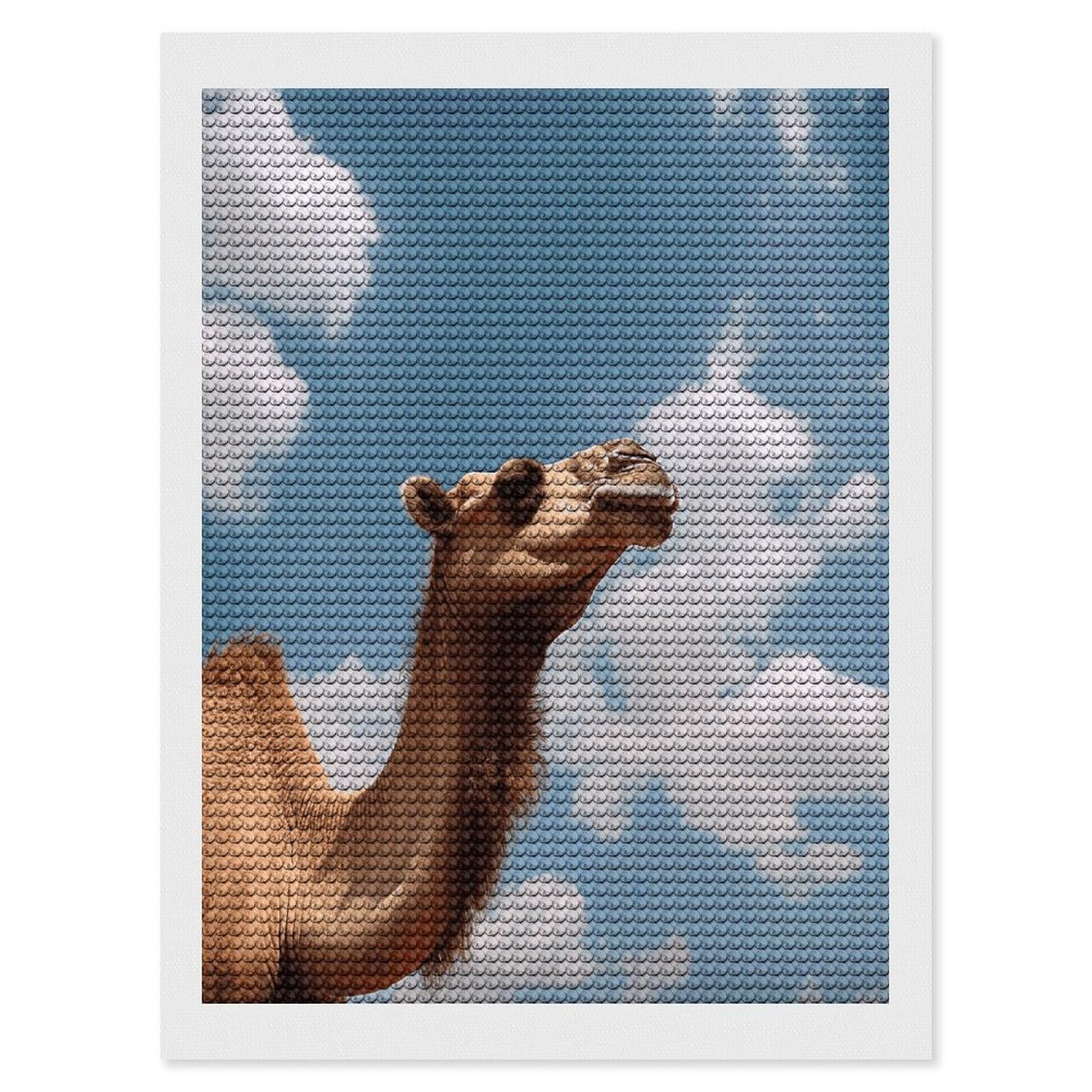 FodPand Camel Looking Up at The Sky Diamond Art Kits for Adults Diamond Painting Kits for Beginner 5D DIY Full Round Drill Diamond Dot Painting Gem Art Crafts for Home Wall Decor