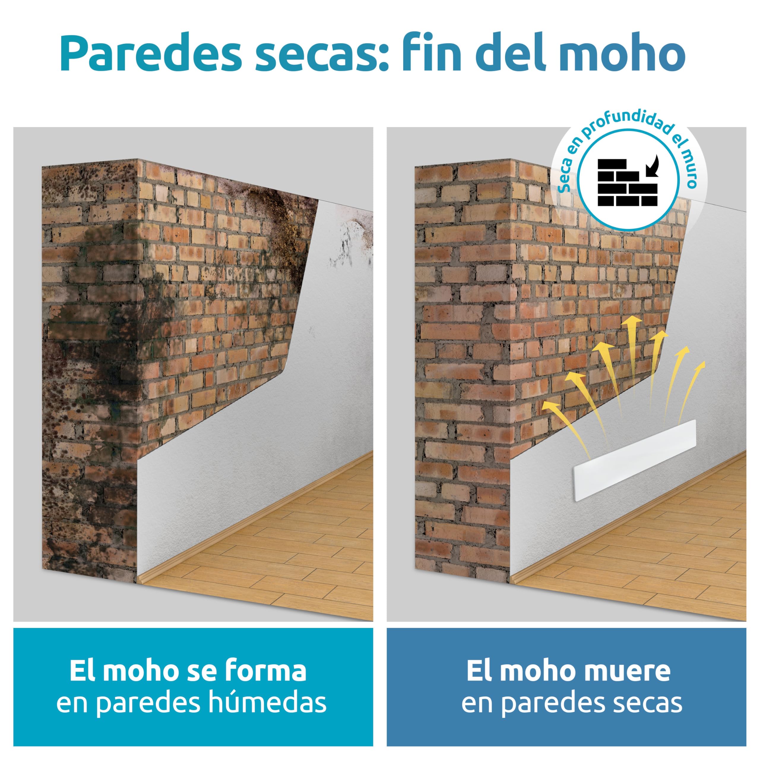 ELIAS Destructor de moho – Desmoldeo negro para paredes sin productos químicos – Calefacción de pared para cada habitación – Potente calentador antimoho como alternativa al spray de moho