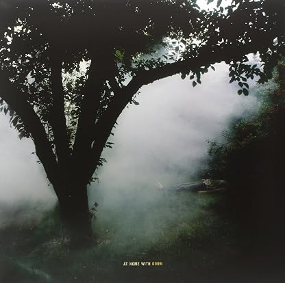 At Home with Owen [Disco de Vinil] por Owen, capa do álbum