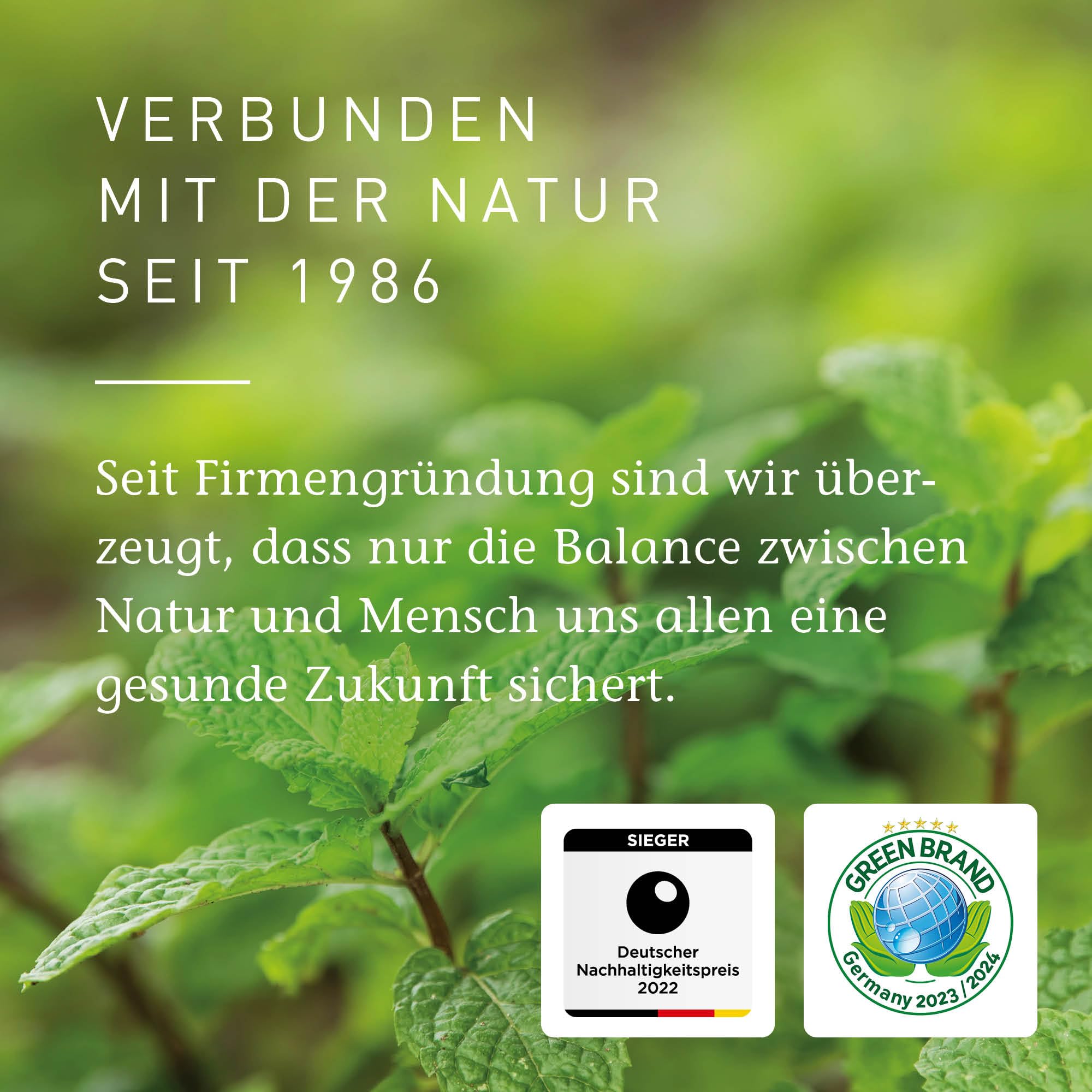 PRIMAVERA Ätherisches Öl Iris 6% 5 ml - Naturreines Duftöl für Aromatherapie - Blumig, Veilchenartig, Tröstend - Vegan