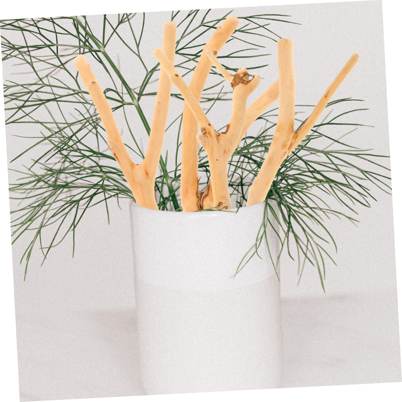 BESTOYARD 5pezzi Bastoncini Di Legno Naturale Per Creazioni Artigianali Rami Per Decorazioni Progetti Fai Te Vasi Per Matrimonio e Decorazioni Natalizie