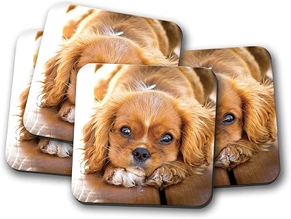 Amazon Co Jp 4セット キャバリア キング チャールズ スパニエルコースター 子犬犬かわいい赤ちゃんギフト ホーム キッチン Amazon Co Jp 4セット キャバリア キング チャールズ スパニエルコースター 子犬犬かわいい赤ちゃんギフト ホーム キッチン