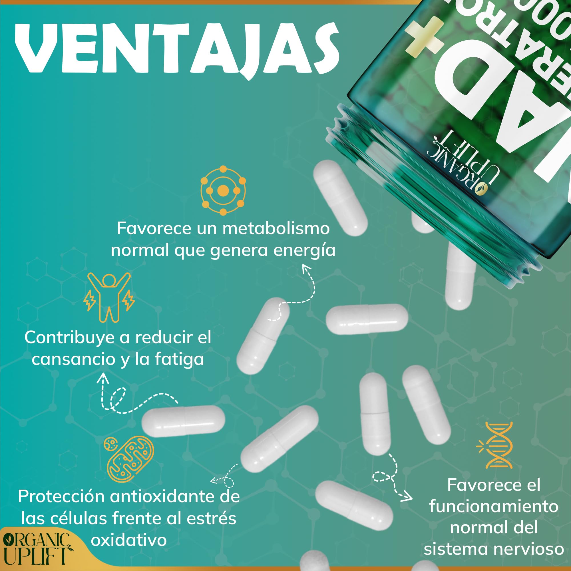 NAD Resveratrol Puro 1000 mg, NAD+ liposomal para hombres y mujeres, nicotinamide riboside, Cápsulas de NAD Plus de alta pureza, Probado en laboratorio, suministro para 3 meses (90 cápsulas)