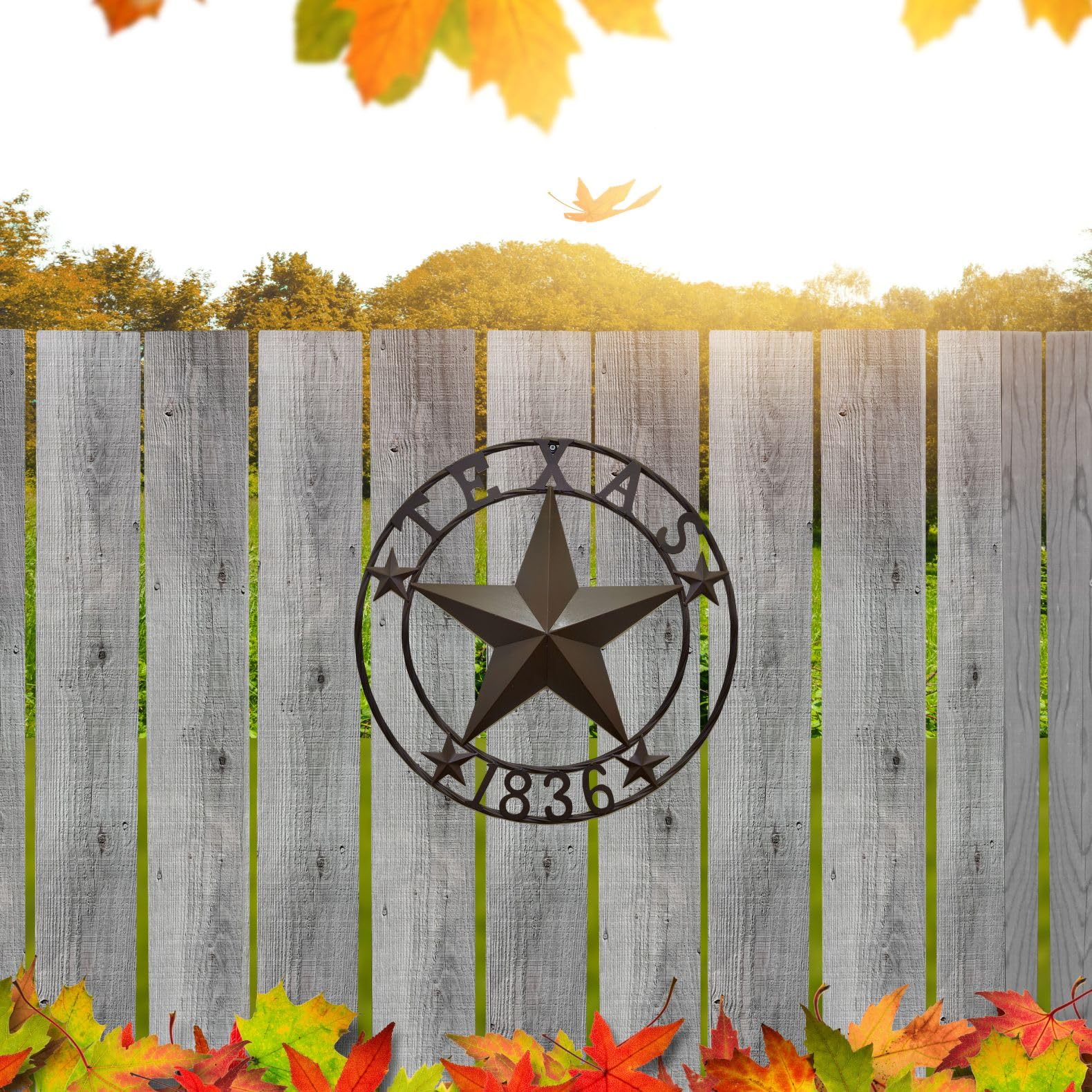 BestGiftEver Metal Circle – Texas 1836 Targa decorativa da appendere alla parete