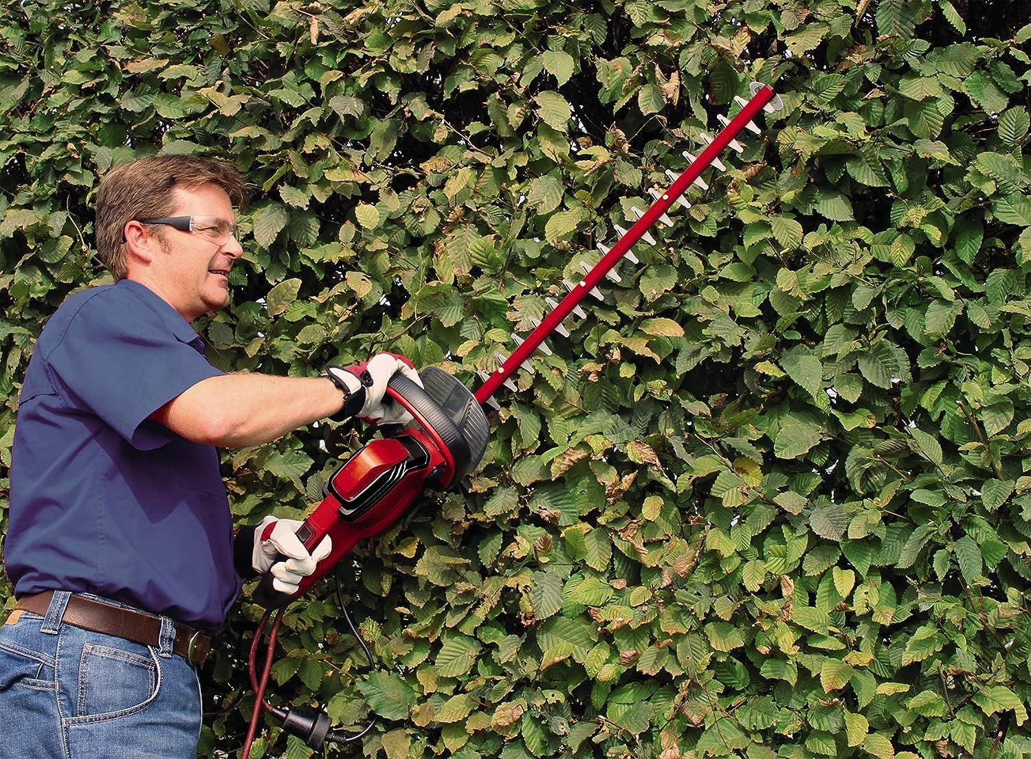Einhell Recortasetos eléctrico con Cable - GE-Eh 6560 (240 V, 650 W, 50 Hz, Longitud de Corte: 600 mm, Longitud de la Hoja: 660 mm, Espacio Entre Dientes: 30 mm)
