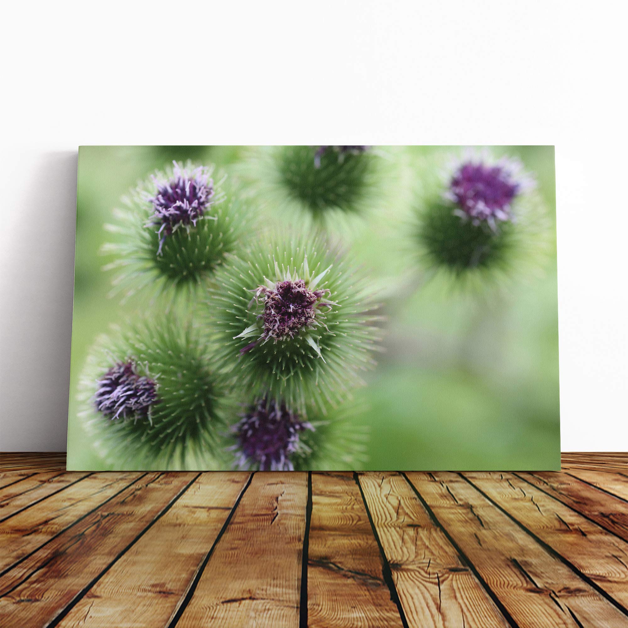 Purple Flower Globe Thistles Canvas Print | Gallery Wrapped 30mm Frame Wall Art | 24x16 inches | Ready to Hang | Modern Floral Picture | Living Room Bedroom Lounge Office