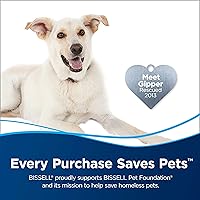 Vista 3 de GDM HOME BISSELL 62E5A 2X Concentrado Deep Clean & Protect Fórmula de máquina de tamaño completo, 60 onzas