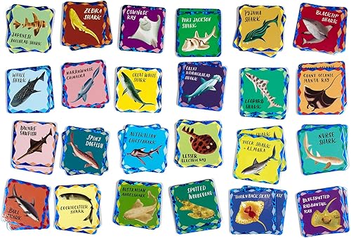 Miniatura 3 de eeBoo: Juego de memoria y combinación: tiburones brillantes y amigos - 24 pares a juego, juego educativo preescolar, niños a partir de 3 años, 1-4