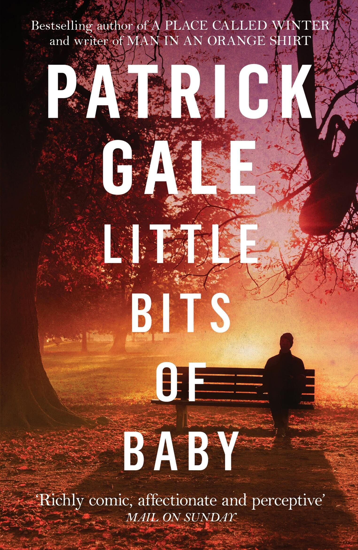 Little Bits of Baby by Patrick Gale PAPERBACK 9781472255631