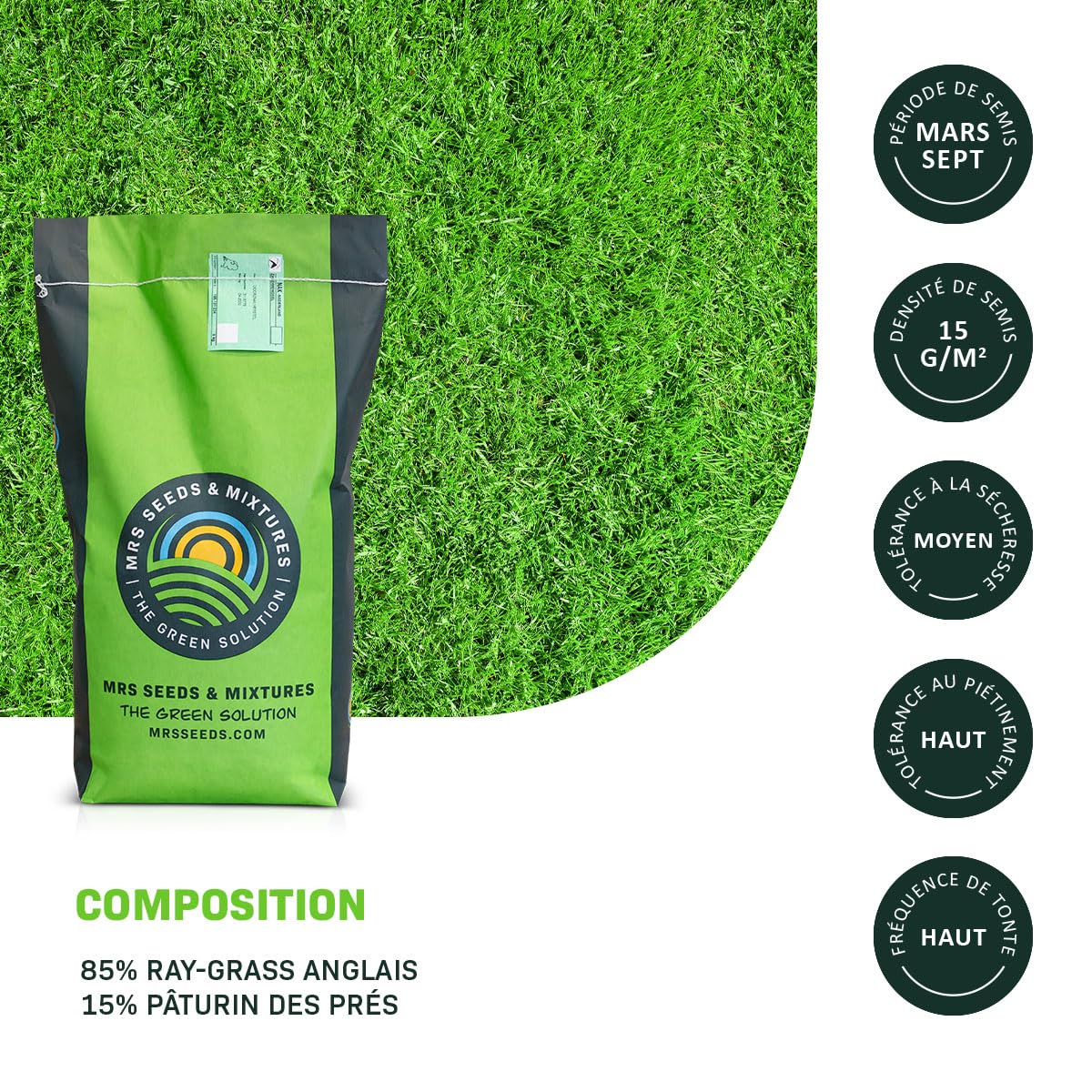 MRS Champion : Semences de gazon sport - 15 kg pour 750 m² - Gazon résistant pour sport et usage intensif - Croissance rapide et faible entretien - Adapté à tous types de sols