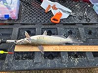 Review Image by Tim Quinn Tim Quinn