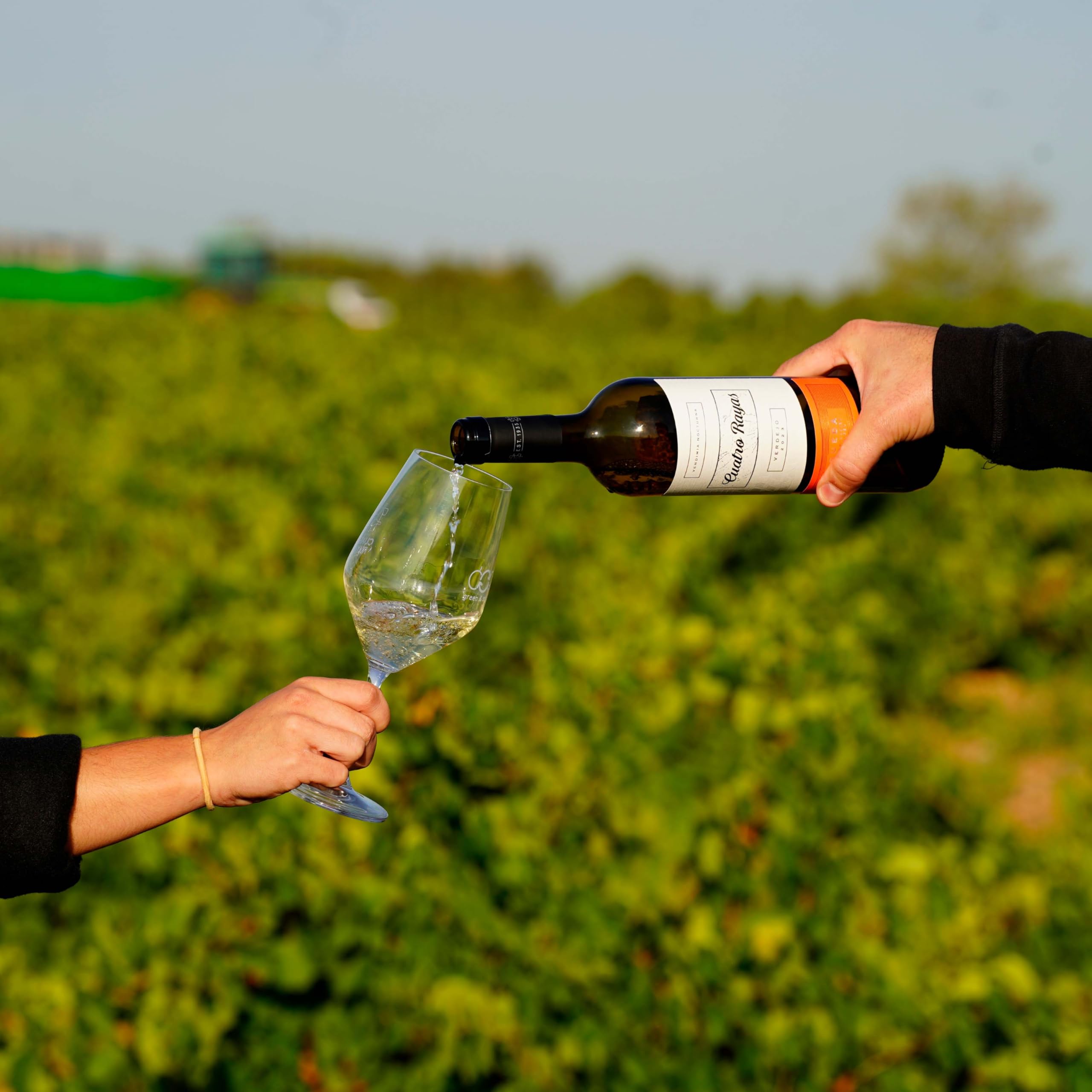 Cuatro Rayas Vendimia Nocturna Verdejo DO Rueda (6 Botellas x 750ml)