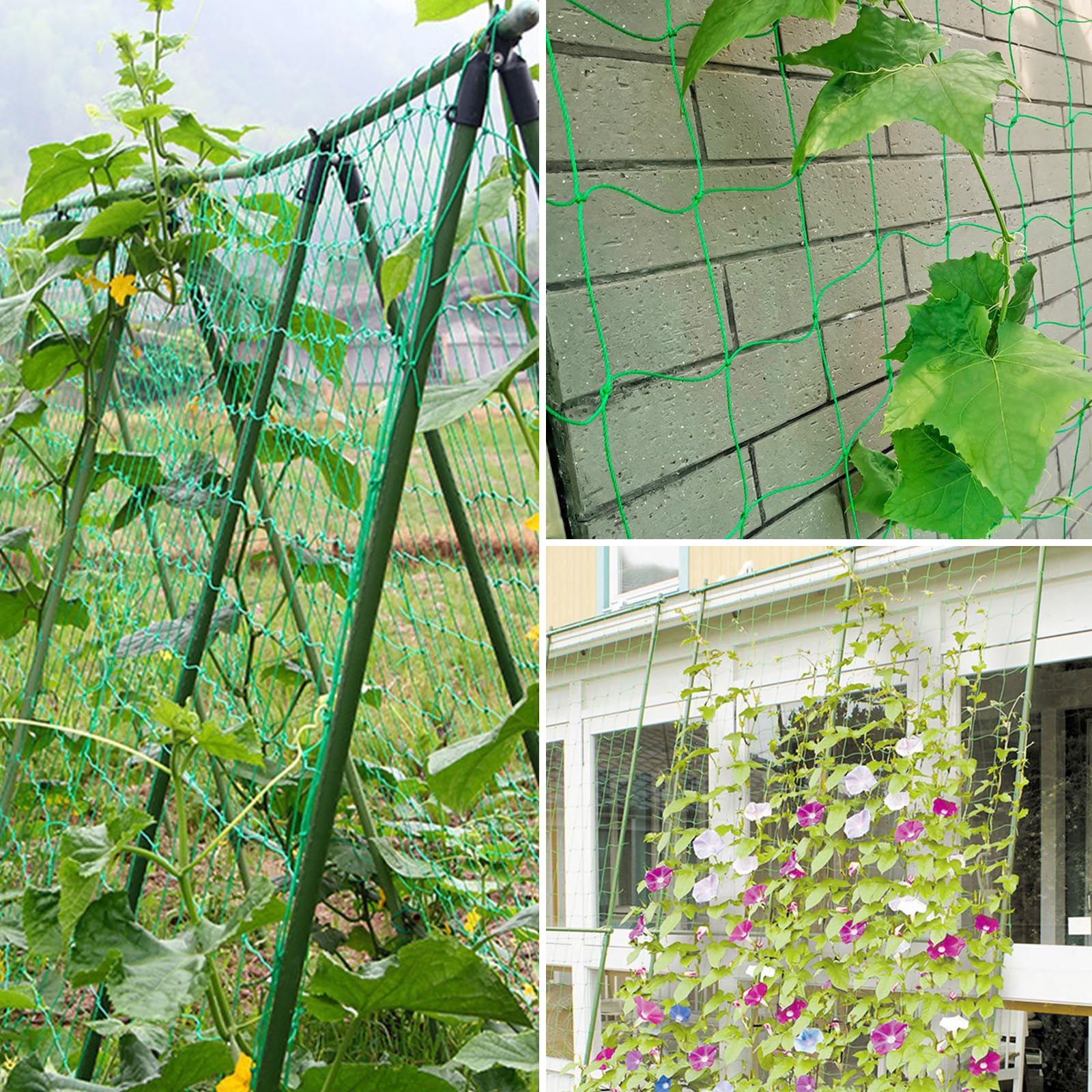 Rete Per Piante Rampicanti 5 M X 2 M Tralicciata In Nylon Con 50 - Foto 13