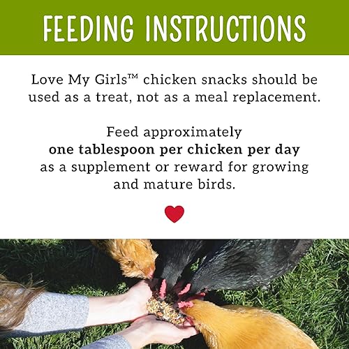 Love My Girls: Chicken Snacks - Pumpkin & Worms - 2lb Bag - Global Harvest, Gourmet Multi-Grain Treats, Corn-Free, Nutritious & Protein Rich Mealworms(Pumpkin & Worms,1 pack)