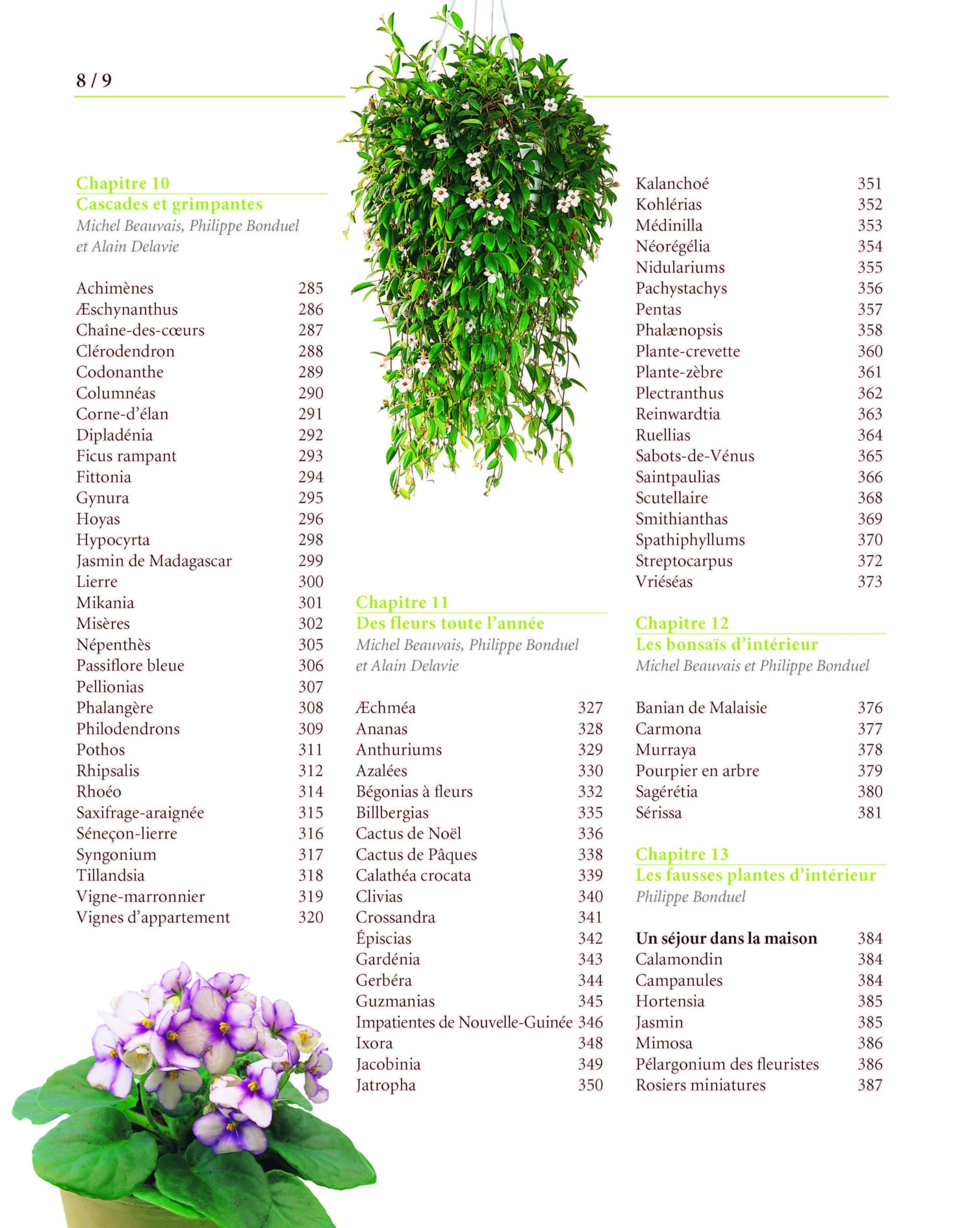 Le Traité Rustica des plantes d'intérieur